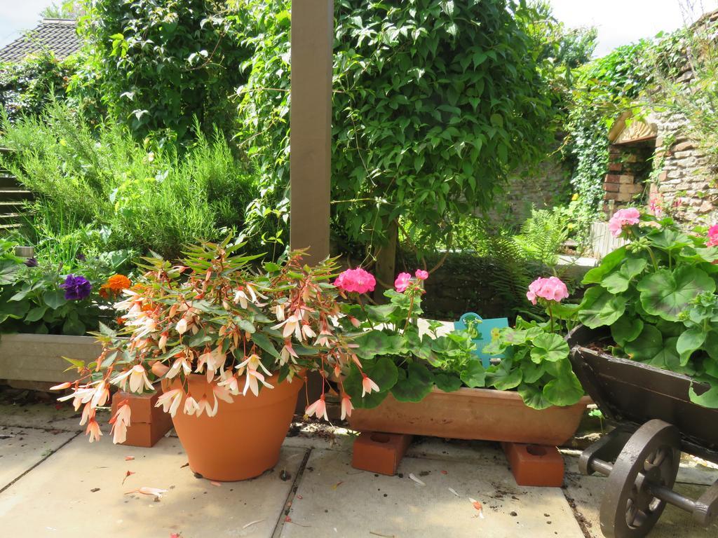 Pont Yates Little Orchard Apartment מראה חיצוני תמונה
