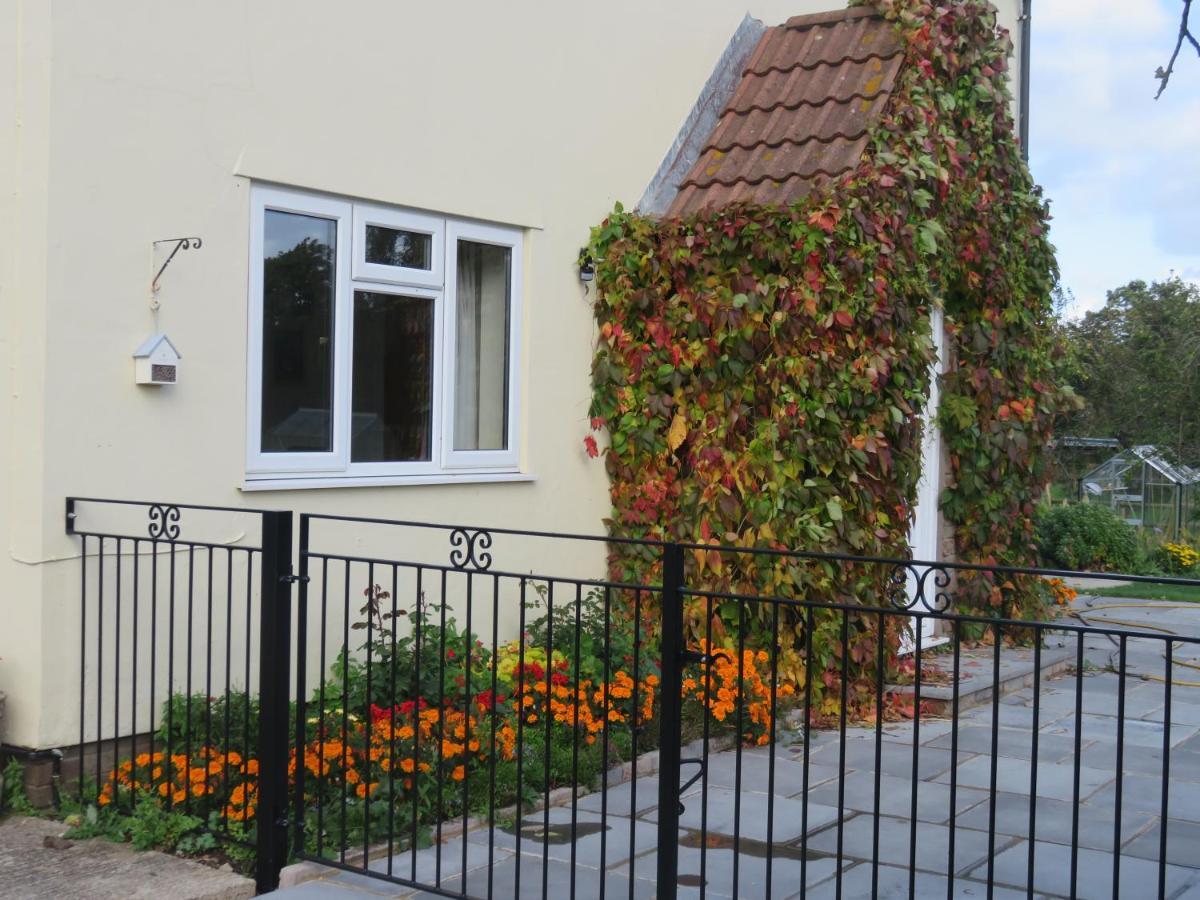 Pont Yates Little Orchard Apartment מראה חיצוני תמונה